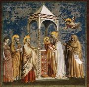 Presentation of Christ at the Temple Giotto